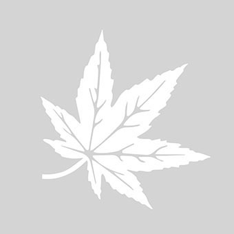 Tesco: Stronger Starts